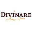 Divinare